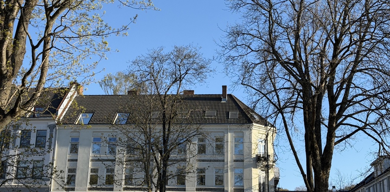 Bygård fra parkområde