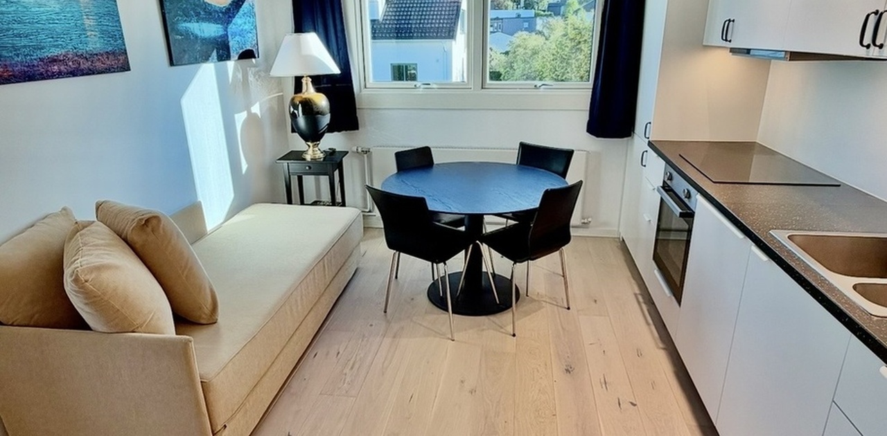 Stue og kjøkken