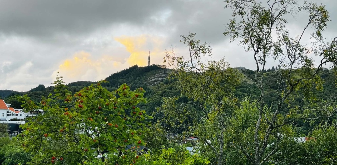 Kort vei til flott turområder som Steinsfjellet, Kringsjåhytten, Djupadalen mm.