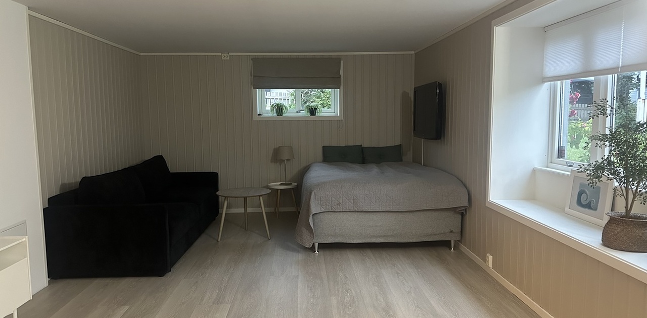 150cm seng og sofa