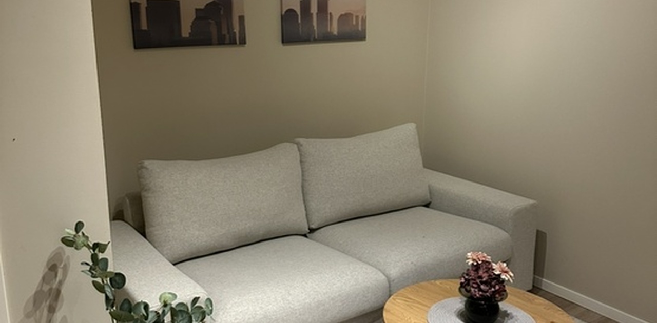 Koselig og lys stue med komfortabel sovesofa.