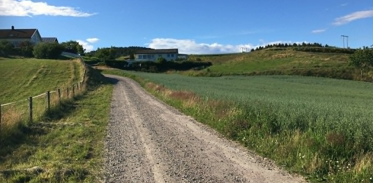 Vei opp mot huset
