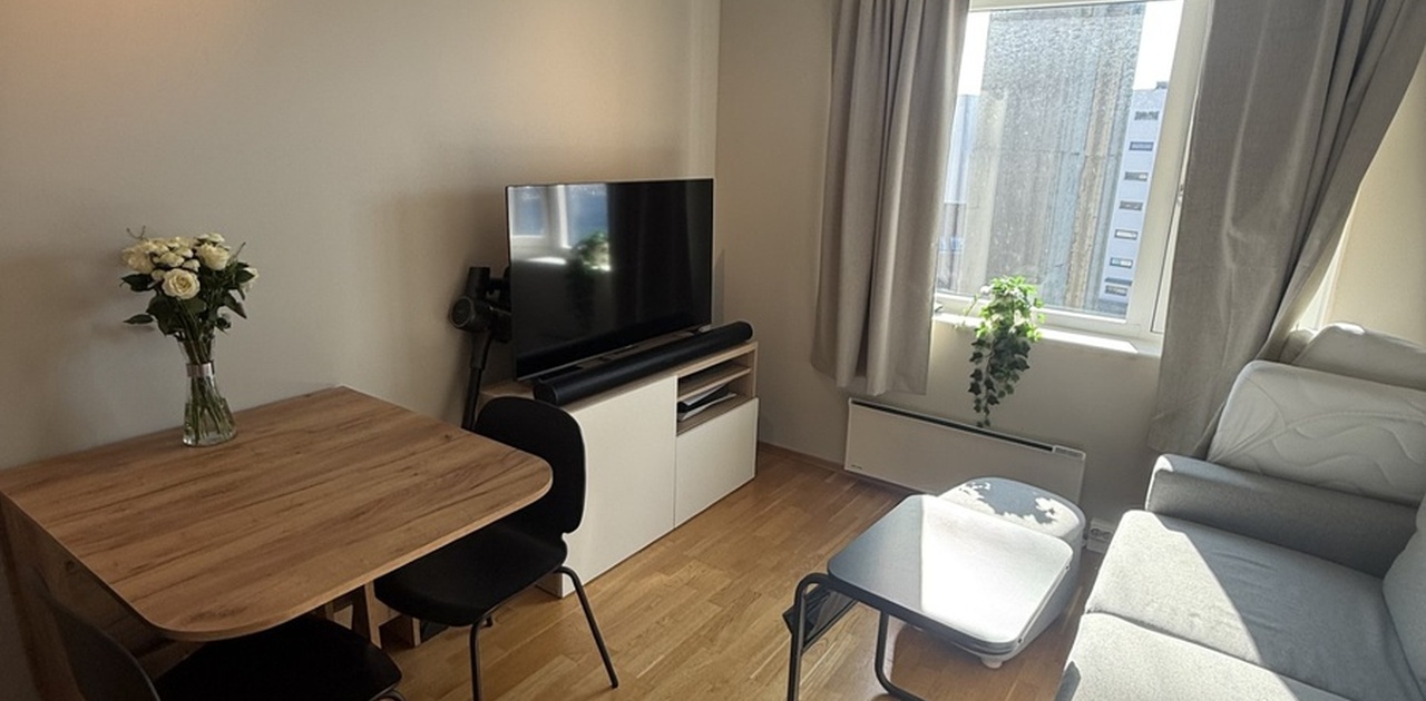 Stue/soverom med sovesofa