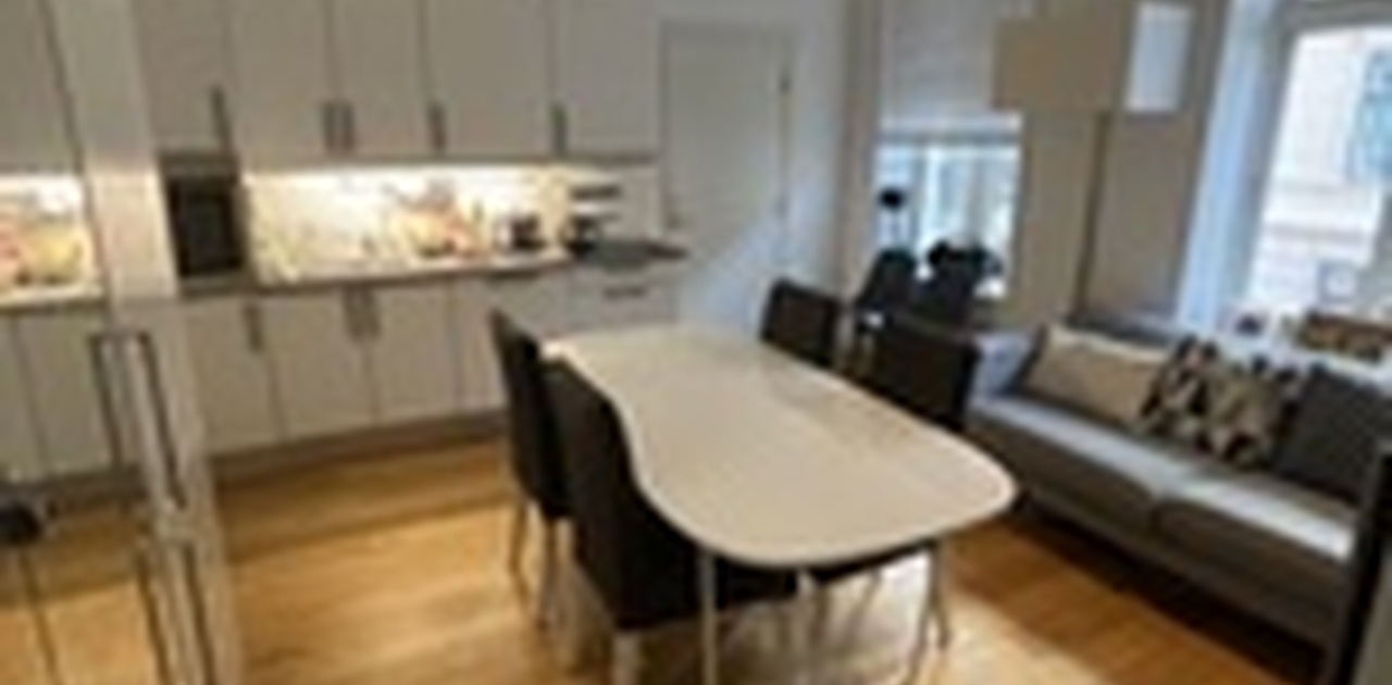 Stue/kjøkken