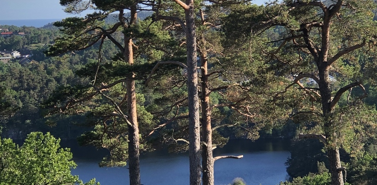 nydelig utsikt fra veranda