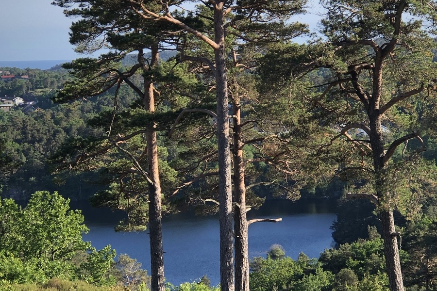 Leilighet, 5 roms