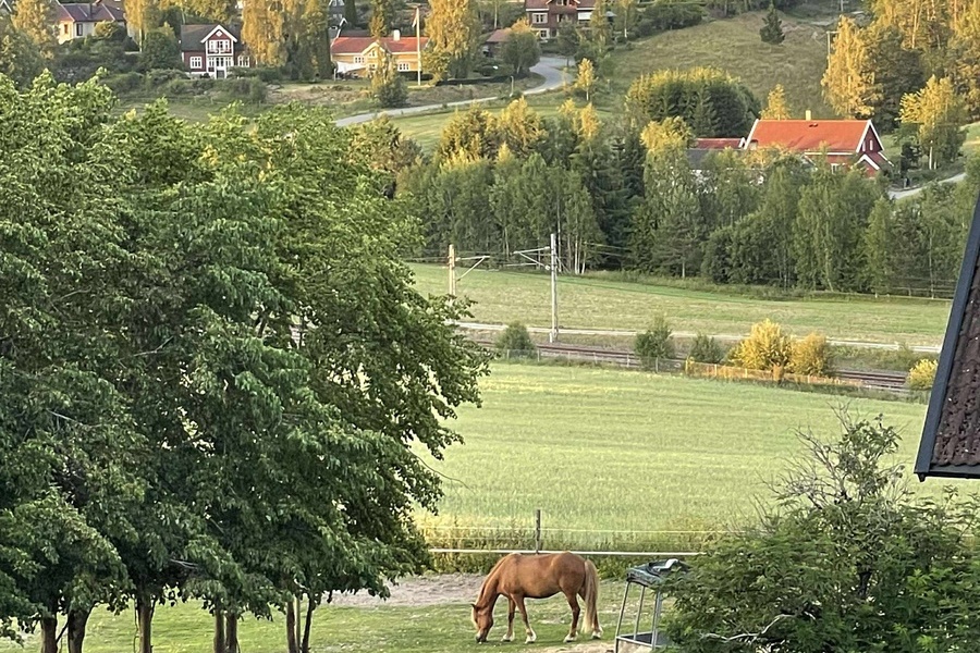 4 rom i bofellesskap