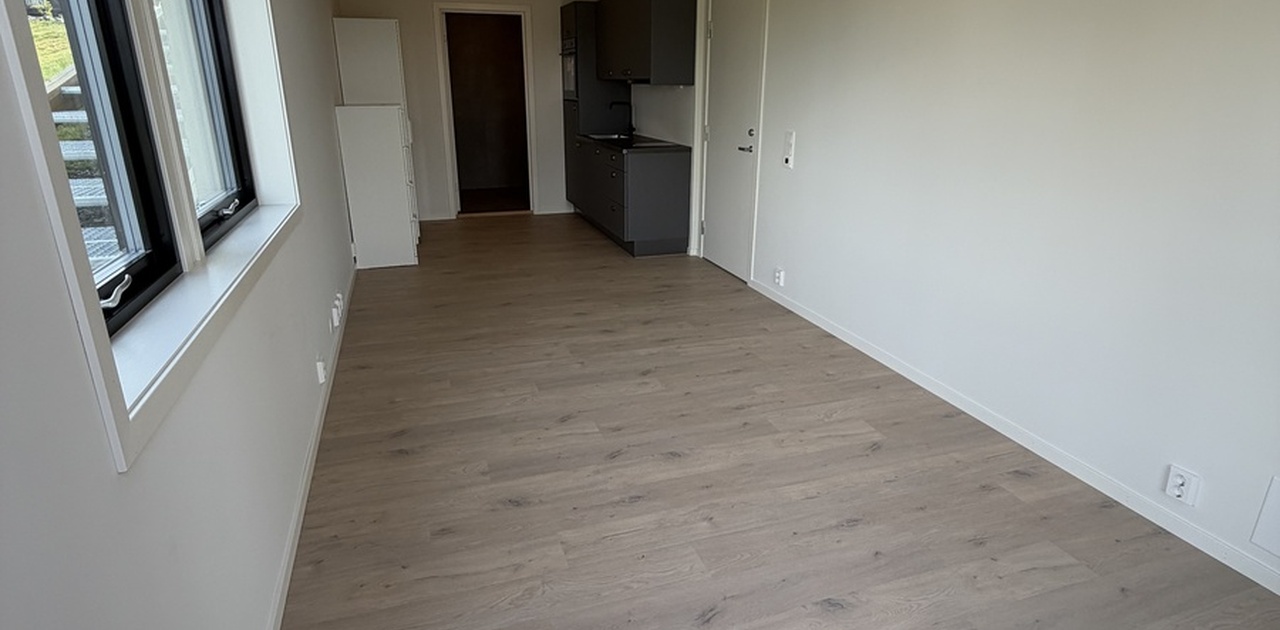 Romslig hybelleilighet med varmekabler i gulv og plass for sofa/sovesofa eller seng, spisebord eller skrivebord, alt ettersom ønske og behov.