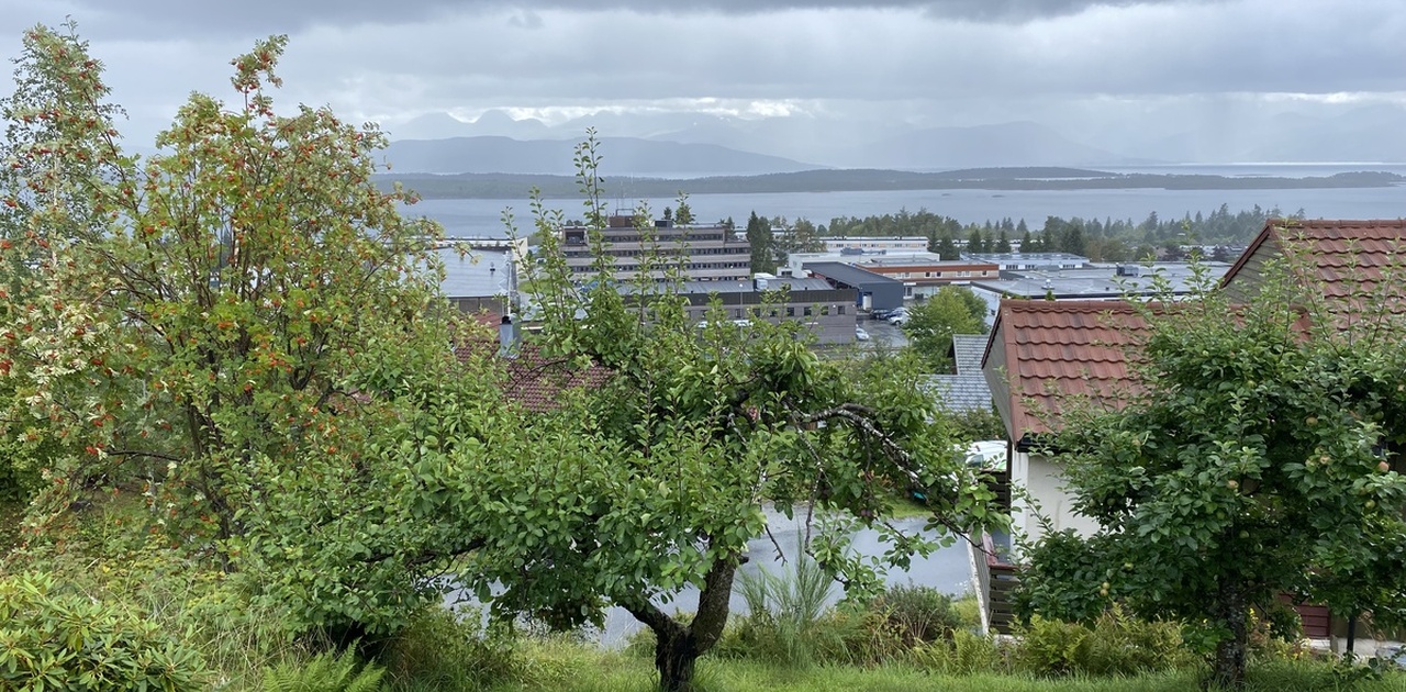 Utsikt