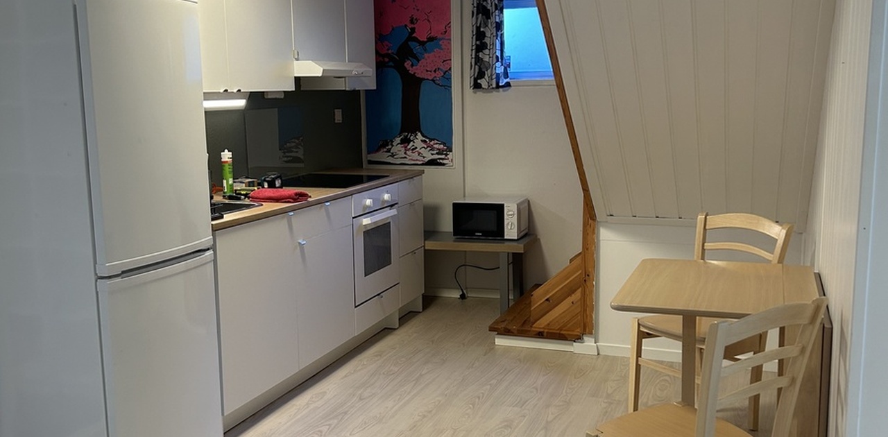 Koselig kjøkkenkrok med alle hvitevarer inkludert.