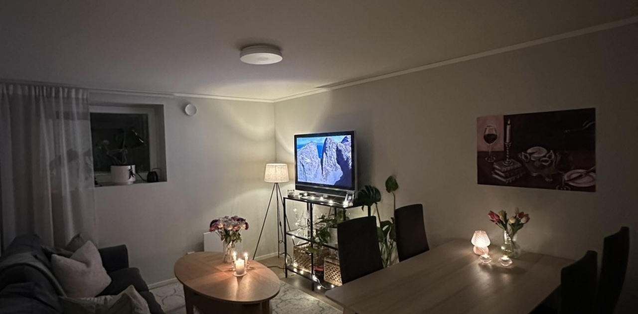 Koselig stue med stort spisebord