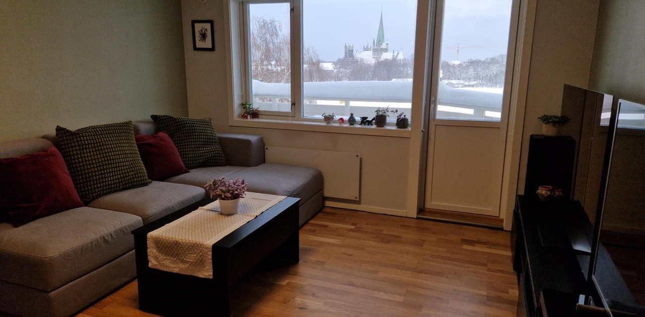 living room, there will be a dining-table in the corner (not in picture)