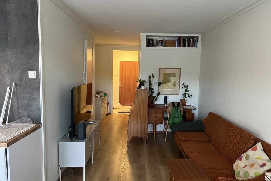 Leilighet, 1 roms