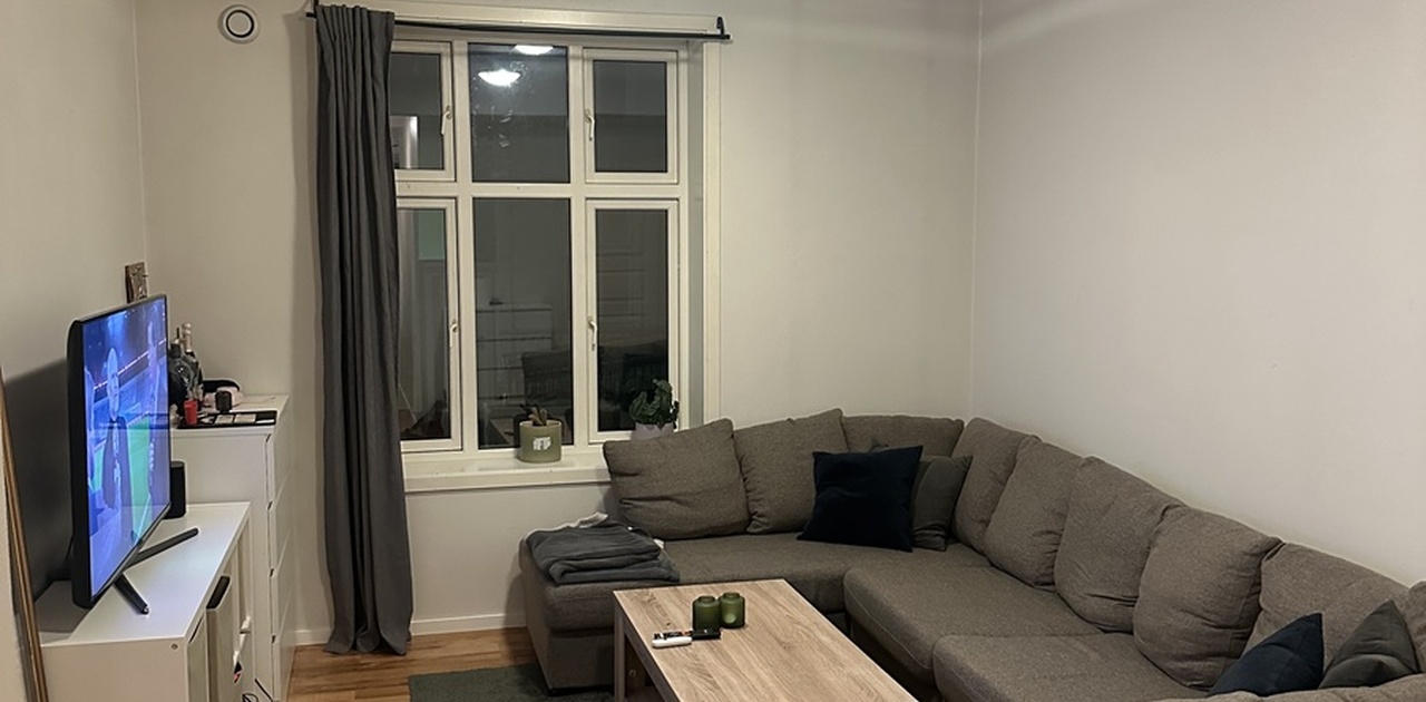Stue med sofa som har plass til alle i leiligheten