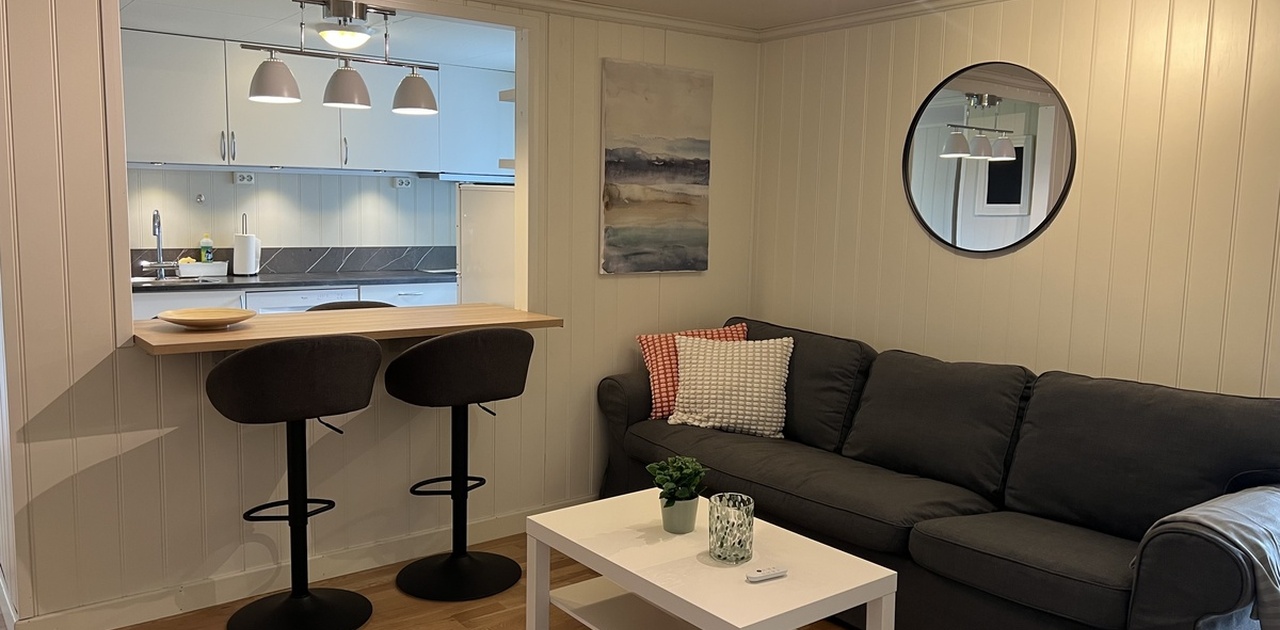 Stue/Kjøkken