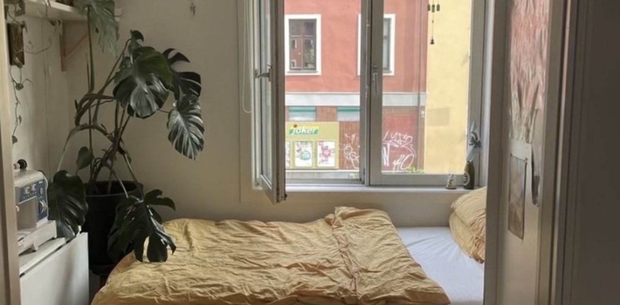 Koselig rom med stort vindu som tilbyr mye dagslys i løpet av en dag!