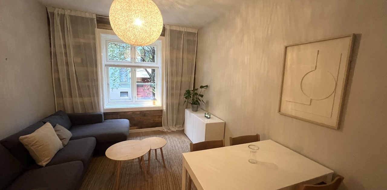 Lun og varm stue med peis
