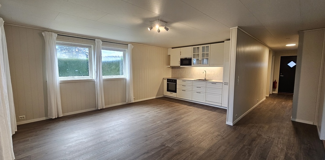 Stue/kjøkken