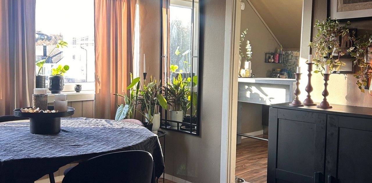 Romslig og lys leilighet med stor stue på 23 kvm. Leiligheten er malt opp i denne fargen som vises på dette bildet.