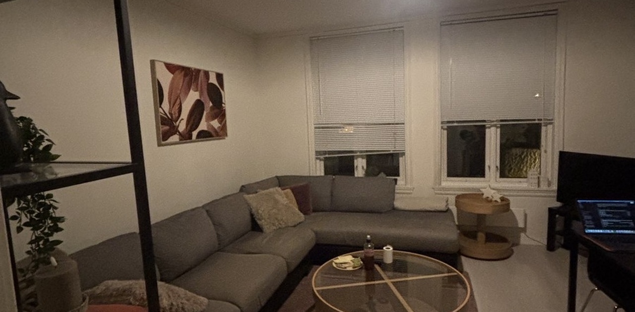 Stue med stor sofa