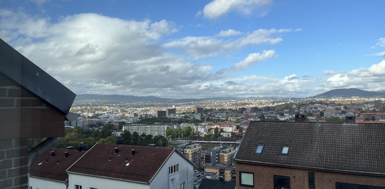 Utsikt fra stue