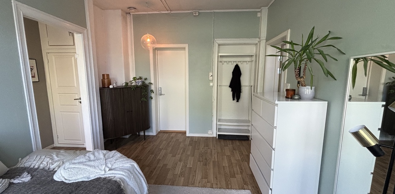 Nydelig lys studioleilighet med romslig stue/soverom