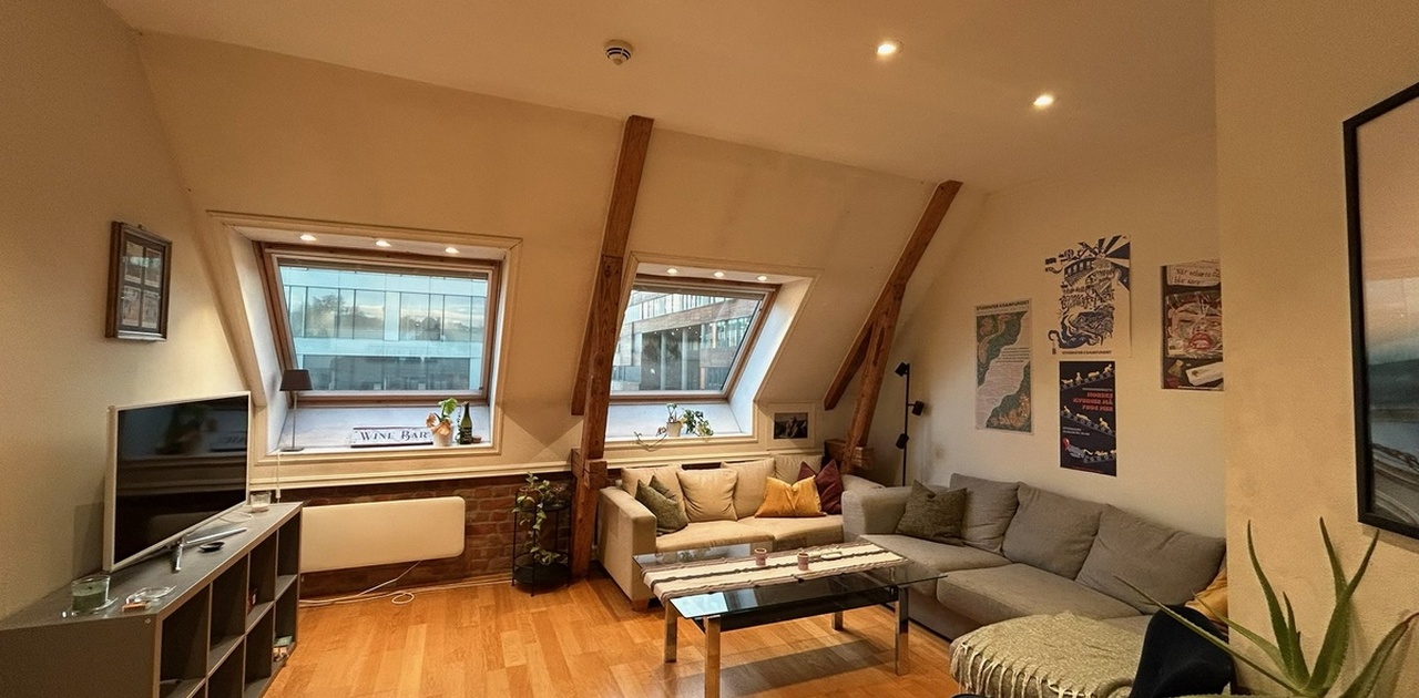 Romslig stue 20 m2