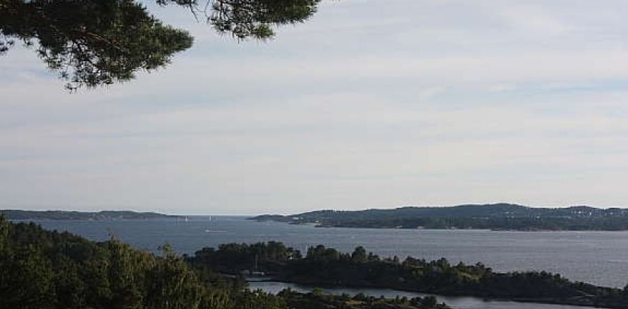 Utsikt fra egen uteplass foran huset.